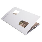 Art Now: Hylozoic/Desires exhibition book